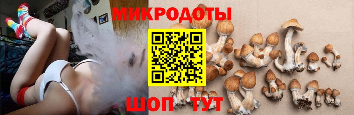 Псилоцибиновые грибы ЛСД  Галлюциногенные грибы ЛСД  Артём  Вход с VPN 